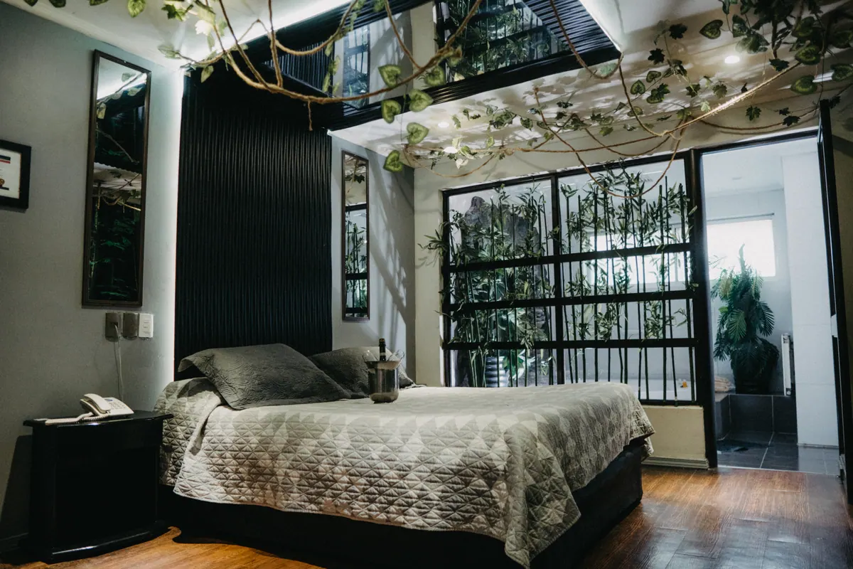 La Selva – Motel Nevada Concepción